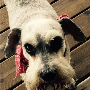 Meet your Posher, Tonja